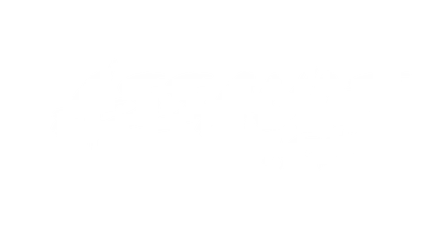 Assault Moto